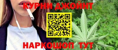 сатива Будённовск