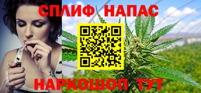 сатива Будённовск