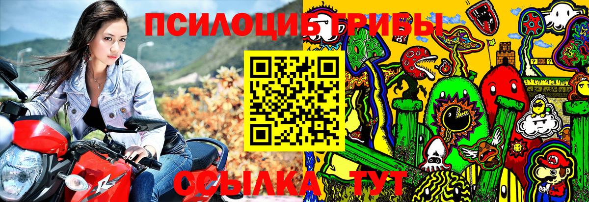 Ачхой-Мартан  Галлюциногенные грибы Psilocybe  Галлюциногенные грибы MAGIC MUSHROOMS  Вход с VPN 